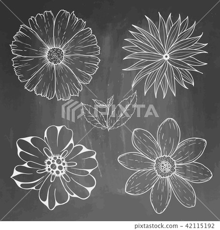 Hand Drawn vintage floral elements on blackboard. Set of flowers and leaves. Vector illustration 42115192
