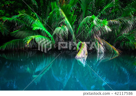 Fantasy landscape of tropical lake 42117586