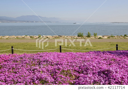 Lake Biwa Nagisa Park Lake Biwa Nagisa Park 42117714