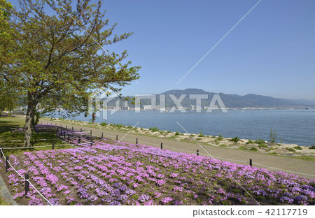 Lake Biwa Nagisa Park Lake Biwa Nagisa Park 42117719