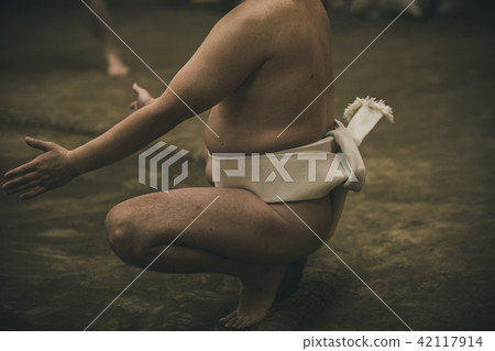 sumo, sumo wrestling, training 42117914