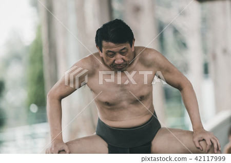 相撲 日本文化 男人 42117999