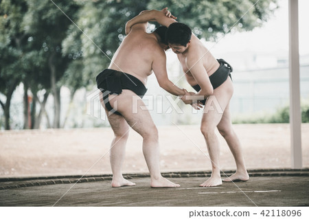 sumo, sumo wrestling, efforts 42118096