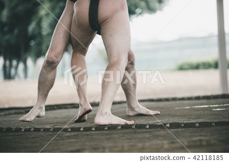 sumo, sumo wrestling, sumo wrestler's loincloth 42118185