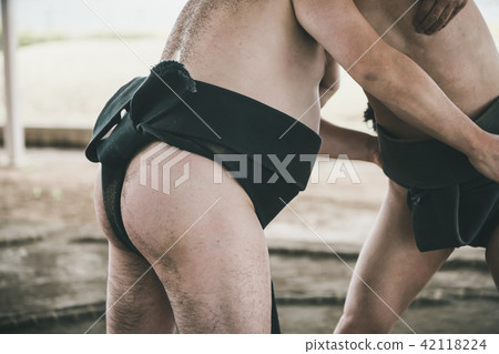 相撲 相撲選手的纏腰帶 人 42118224