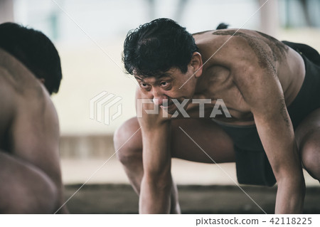 相撲 隔間 分界線 42118225