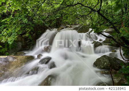 Valley, Kumsusan, Jecheon, Chungbuk Valley, Kumsusan, Jecheon, Chungbuk 42118941