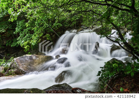 Valley, Kumsusan, Jecheon, Chungbuk Valley, Kumsusan, Jecheon, Chungbuk 42118942