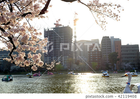 比爾和上野溫泉公園船 比爾和上野溫泉公園船 42119408
