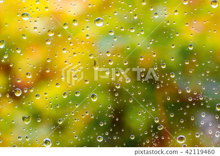 Raindrops on the window, autumn foliage 42119460