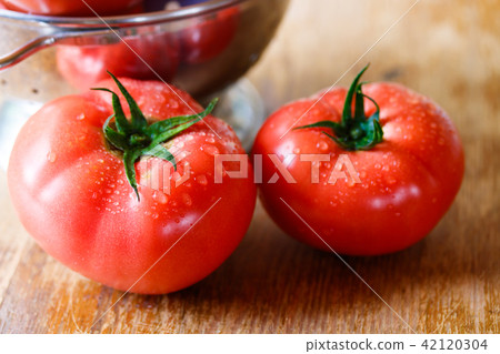 Tomato Tomato 42120304