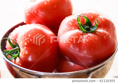 Tomato Tomato 42120305