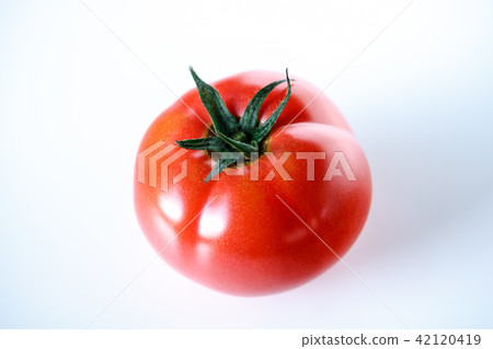 蕃茄 42120419