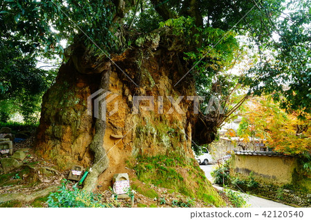 Choshugakuji秋葉 42120540