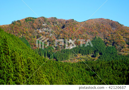 Kaoru incense autumn leaves 42120687