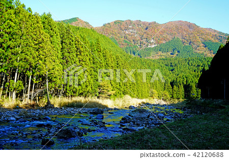 Kaoru incense autumn leaves 42120688