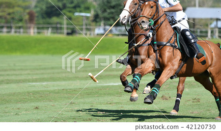 horse speed in polo match horse speed in polo match 42120730