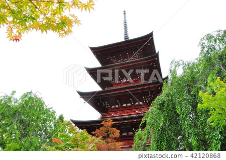 弘前的五層寶塔和樹木 弘前的五層寶塔和樹木 42120868