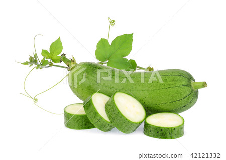 fresh green sponge gourd or luffa with leaf  fresh green sponge gourd or luffa with leaf  42121332