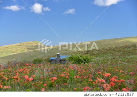 Kirigamine Plateau in early summer Kirigamine Plateau in early summer 42122037