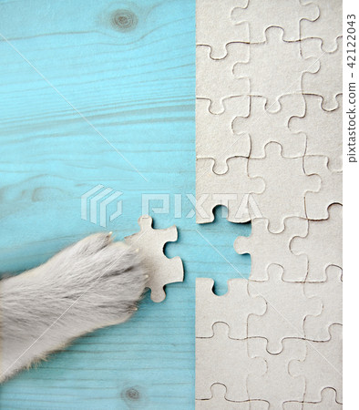 puzzle 42122043
