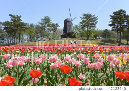 Yukitanigawa大壩森林公園 Yukitanigawa大壩森林公園 42122640