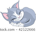 Sleeping cat 42122666