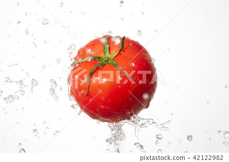 Tomato Sizzle feeling Tomato Sizzle feeling 42122982