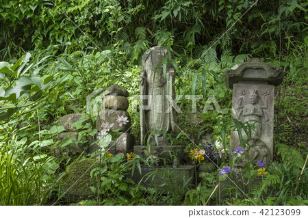 Nagoshi's dissection - From Omachi mouth (Omachi, Kamakura - Hisaki Zushi) 42123099