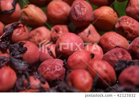 Umeboshi，在陽光下曬乾 42123832