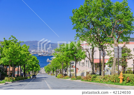 函館的Yakatazaka _陽光 函館的Yakatazaka _陽光 42124030