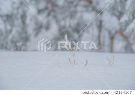 雪景 42124107