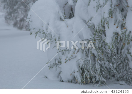 雪景 雪景 42124165
