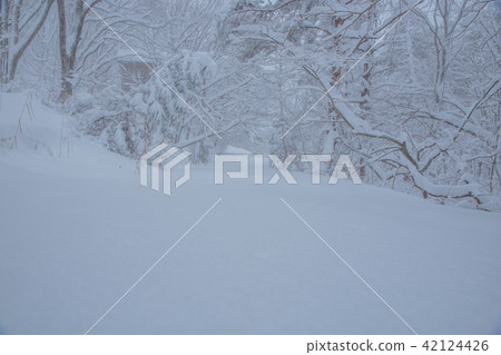 雪景 42124426