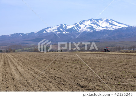 Spring Hidetake Hokkaido field in the east Spring Hidetake Hokkaido field in the east 42125245