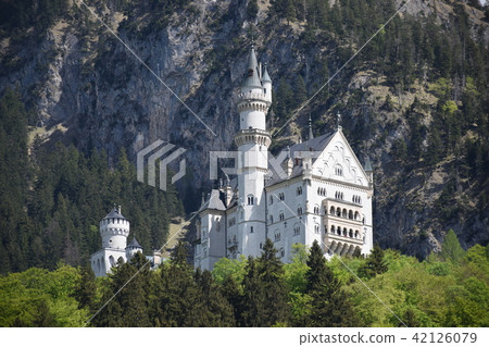 Neuschwanstein Castle Neuschwanstein Castle 42126079