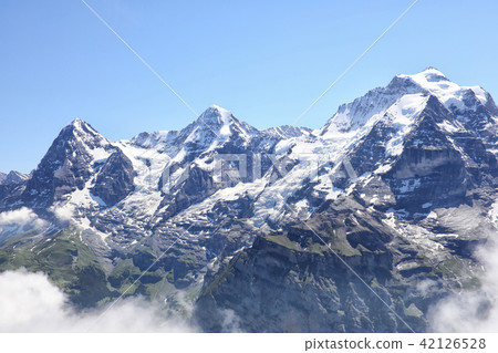 Berner Oberlant Miyama's figure Berner Oberlant Miyama's figure 42126528