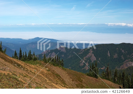 Mountain Landscape 42126649