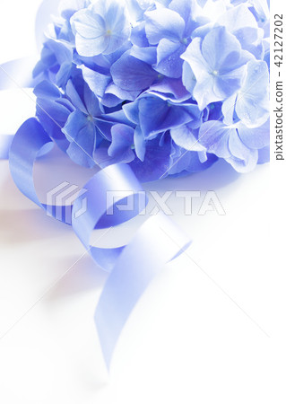  繡球 42127202