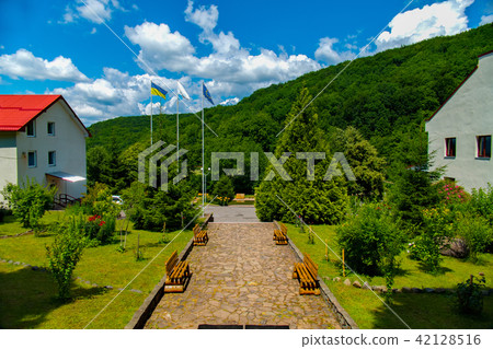 A small park alley with deaorativnymi plantations  42128516