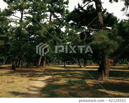 Hamaji Park Sakai 42128581