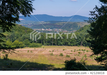 A field with a burnt, yellow grass on the foregrou A field with a burnt, yellow grass on the foregrou 42128818