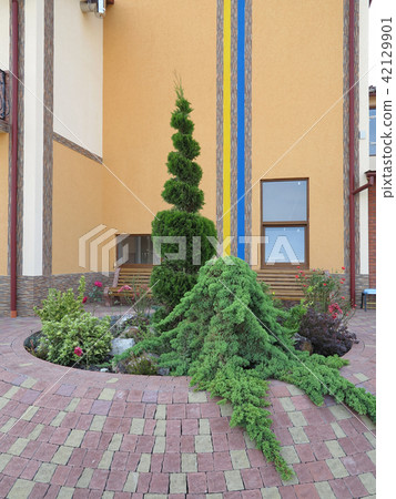 Decorative circular flower bed with roses, small b 42129901