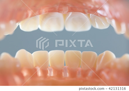 從口3的下顎觀點 42131316