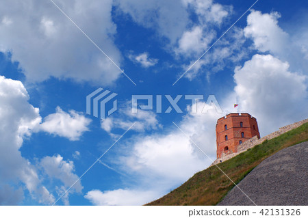 格迪米納斯城堡 42131326