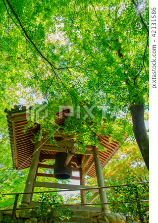 Junko Temple：京都 42131586
