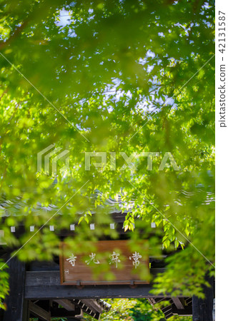 Junko Temple：京都 42131587