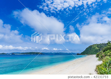 Okinawa Prefecture Akajima Nishihama Okinawa Prefecture Akajima Nishihama 42131733