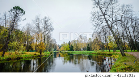 Autumn park in Saint Petersburg, Russia 42132032