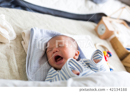 Newborn crying 42134188